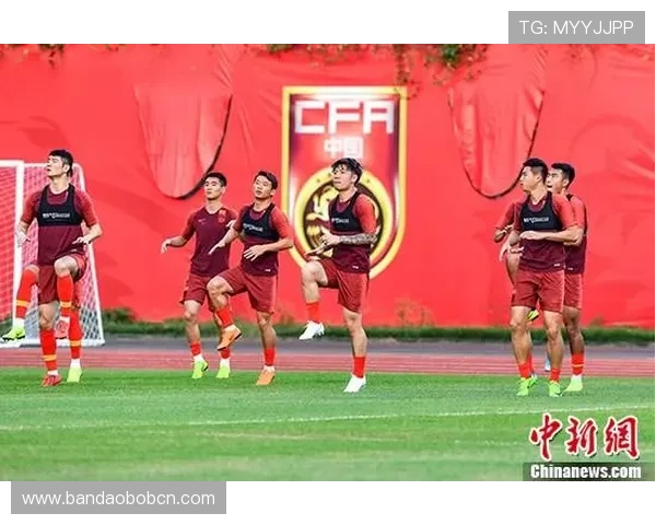 新爱体育网娱乐:聚焦体育娱乐界的明星动态与热门赛事报道全方位呈现