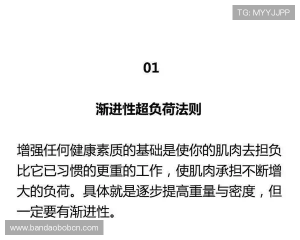 海德体育用户评价与行业专家点评助你全面了解其市场竞争力