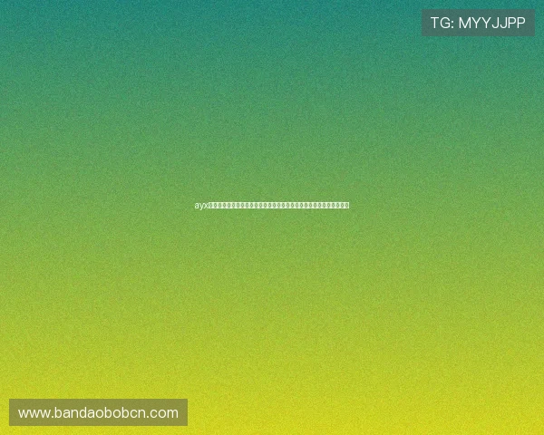 ayx体育娱乐平台用户指南，详细操作流程与常见问题解决方案全方位解读