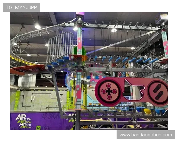 乐动体育蹦床带你体验极限运动的乐趣与健康锻炼的完美结合